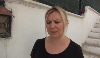 BODRUM’DA 20 KEDİ MEYYİT BULUNDU; TARIM İLACIYLA ZEHİRLENME KUŞKUSUYLA İNCELEME