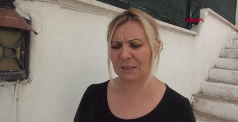 BODRUM’DA 20 KEDİ MEYYİT BULUNDU; TARIM İLACIYLA ZEHİRLENME KUŞKUSUYLA İNCELEME