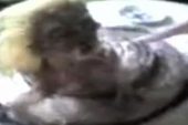 Görüntüsünü izleyenler ikinci defa bakamıyor! İşte Türkiye’de bir periyoda damga vuran insan başlı yılan