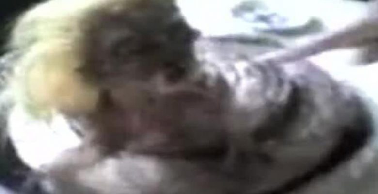 Görüntüsünü izleyenler ikinci defa bakamıyor! İşte Türkiye’de bir periyoda damga vuran insan başlı yılan
