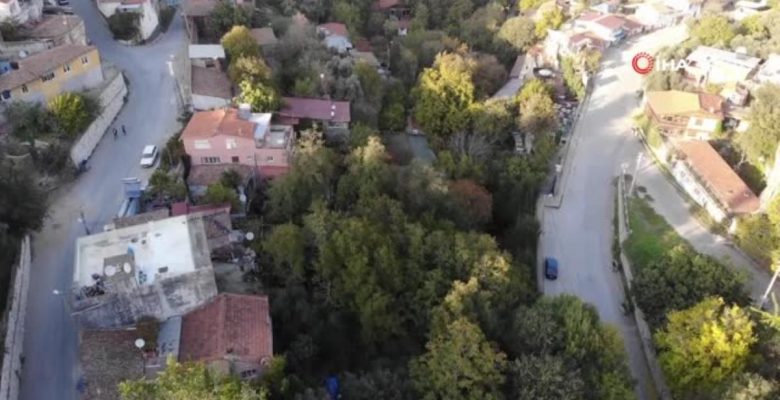Derekahve’den sonbaharda kartpostallık imgeler