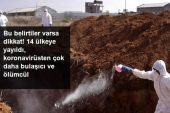 Doç. Dr. Savaşçı’dan kuş gribi uyarısı: 14 ülkeye yayıldı, koronavirüsten çok daha bulaşıcı ve ölümcül