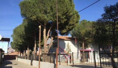 EMO İzmir Şubesi: Davut’un mevti kaza olarak değerlendirilmemeli