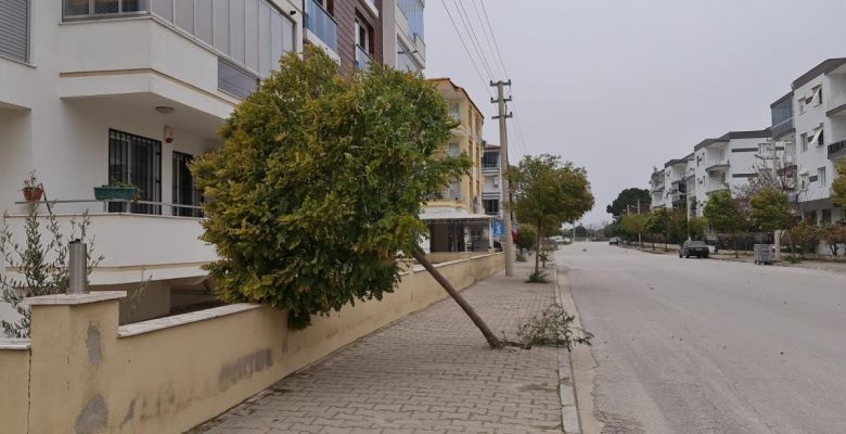 Fırtına ağaçları kökünden söktü, çatıları uçurdu