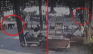 Kendisine havlayan köpeğe ateş açan adamın kafedeki 3 bayanı yaraladığı anlar kamerada