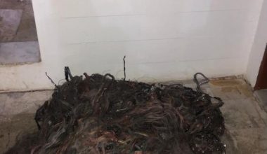 Kiraz ve Ödemiş’te kablo çalan 2 kişi yakalandı