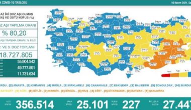 Koronavirüs salgınında günlük hadise sayısı 25 bin 101 oldu