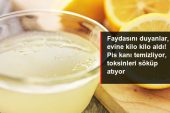 Limonun bu yararını duyanlar konutuna kilo kilo aldı! Pis kanı temizliyor, toksinleri söküp atıyor