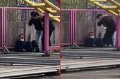 Lunaparkta feci olay! Sürat treninde istikrarını kaybeden adam, vefattan döndü