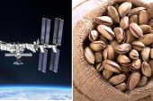 NASA uzayda fıstık kabuğu buldu! Kabuğu kimin attığı araştırılıyor