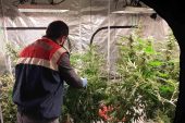 Son dakika haber… Uyuşturucu serasına çevrilen meskene jandarmadan baskın: 3gözaltı