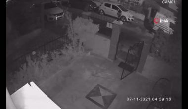 Son dakika haberi | Bahçe kapısı hırsızı güvenlik kamerasında
