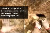 Türk defineci hafriyat sırasında taş kesilmiş yılan buldu! Hakkındaki öykü çok ürkütücü