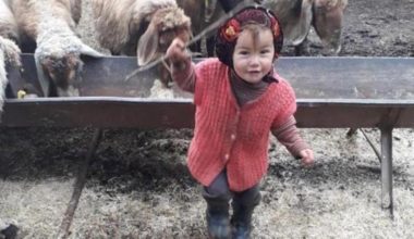 Yörük kızı Müslüme bulundu mu? Müslüme öldü mü?