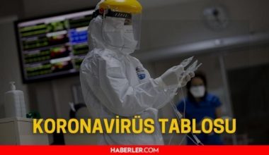 30 Aralık koronavirüs tablosu açıklandı! 30 Aralık Türkiye’de kaç olay tespit edildi? 30 Aralık’ta Türkiye’de koronadan kaç kişi öldü?