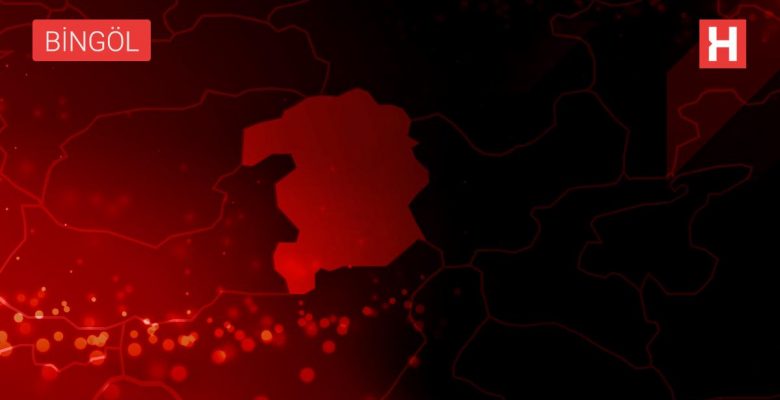 Arkasspor meskeninde Altekma gurbette