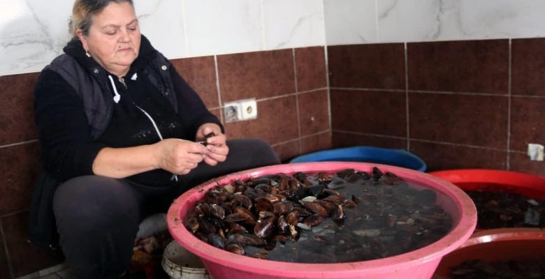 Bayan seyyarlar üretmek istiyor