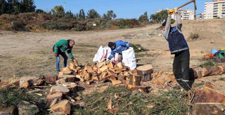 Buca’da budanan kollar gereksinim sahibi meskenleri ısıtıyor