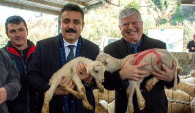 Büyükşehir’den üreticiye bir dayanak daha