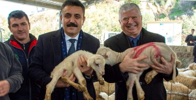 Büyükşehir’den üreticiye bir dayanak daha
