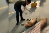 Can dosttan yarasını tedavi eden sıhhat çalışanına vefa