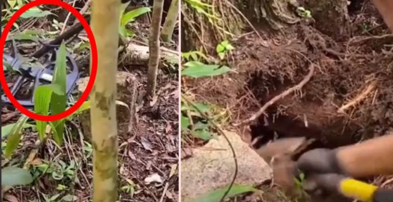 Dedektöründe gariplik olduğunu fark eden defineci, mezarı kazmaya başladı! Topraktan çıkardığı kutudakiler hayran bıraktı