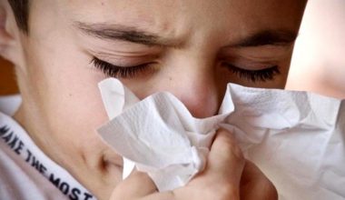 Domuz gribi bulaşıcı mı? H1N1 domuz gribi nedir, belirtilieri neler?