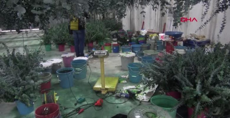 İZMİR’DE 42 TON KAÇAK NARGİLE TÜTÜNÜ ELE GEÇİRİLDİ