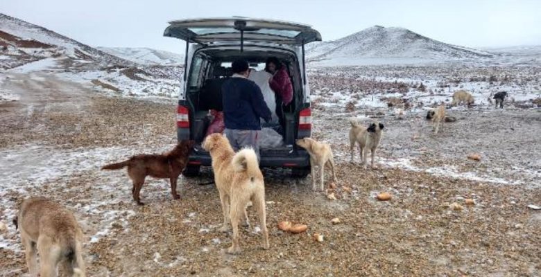 Karlı havada da 60 kilometre gidip, köpekleri besledi
