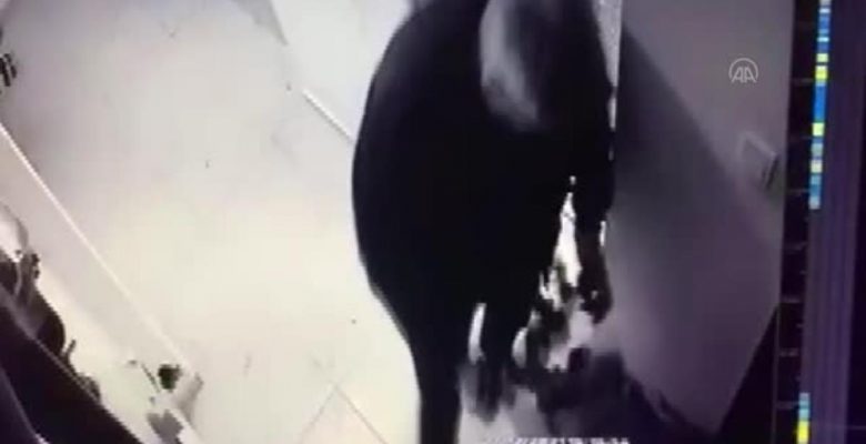 Komşusunun kapısına çöp ve sıvı döken kuşkulu gözaltına alındı