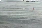 Köpeklerin 9 yaşındaki kız çocuğuna saldırdığı anlar anbean kamerada