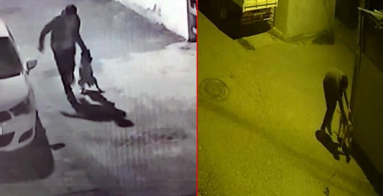 Mahalleliyi isyan ettiren olay! Uyuşturucu bağımlısı kişi, boğazını sıktığı köpeğe bu türlü azap etti