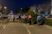 Şiddetli rüzgar nedeniyle çok sayıda ağaç devrildi