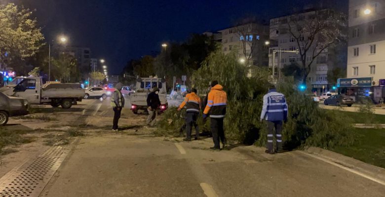 Şiddetli rüzgar nedeniyle çok sayıda ağaç devrildi