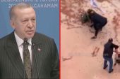 Türkiye’yi ayağa kaldıran imajlara Cumhurbaşkanı Erdoğan da kayıtsız kalamadı: Sahipsiz hayvanların yeri barınaktır