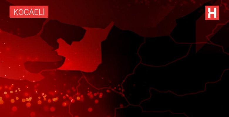 ÜST GEÇİT ASANSÖRÜNE TEKME ATARAK ZİYAN VERDİ